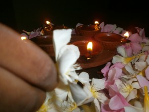 sudar-2014