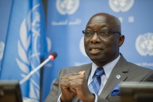 Special-Adviser-Adama-Dieng