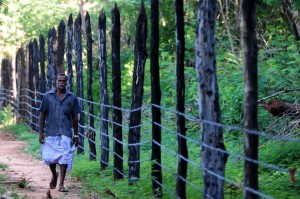 jaffna-tamils (2)