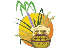 pongal