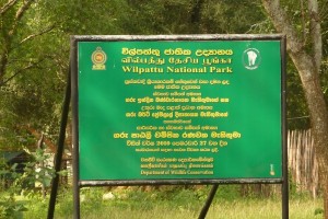wilpattu-national-park
